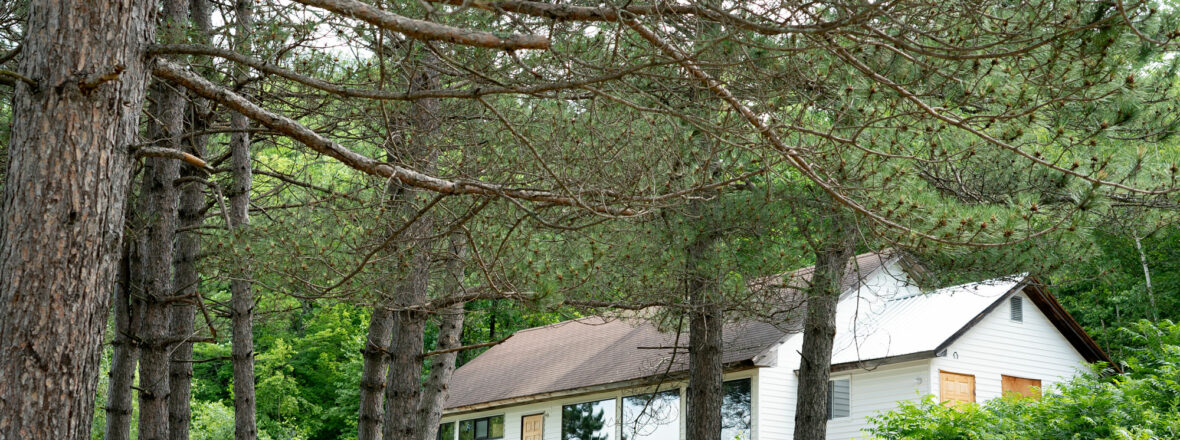 reserve camp seen through the trees